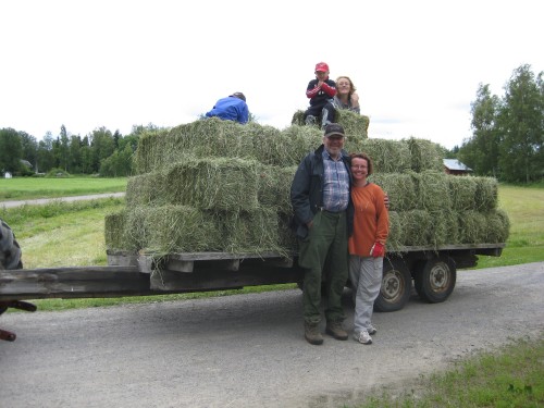 Hein�� pienpaali